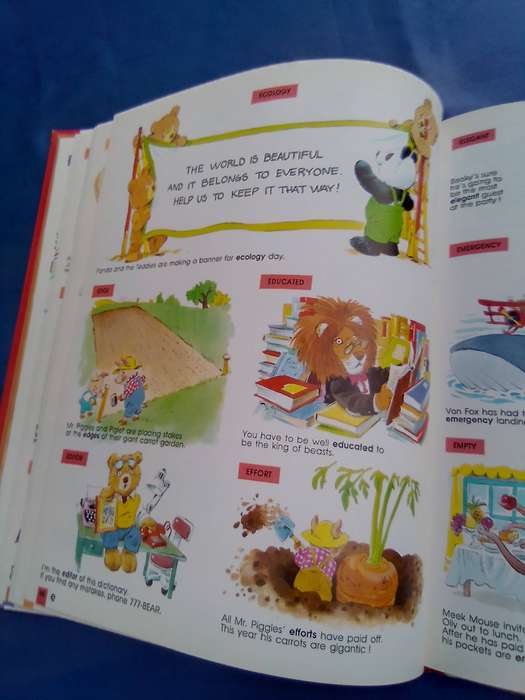 "The Teddy  Bear's Dictionary"   Hard cover.