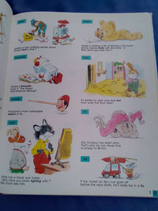 "The Teddy  Bear's Dictionary"   Hard cover.