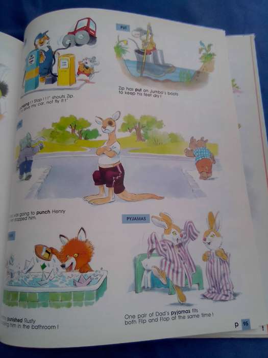 "The Teddy  Bear's Dictionary"   Hard cover.