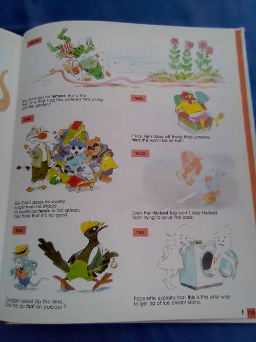 "The Teddy  Bear's Dictionary"   Hard cover.