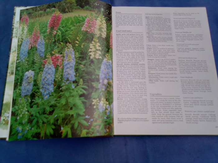 "South African Garden Month by Month"  Hard cover.