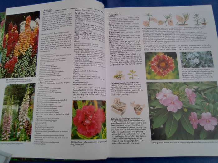 "South African Garden Month by Month"  Hard cover.