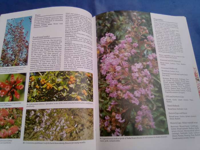 "South African Garden Month by Month"  Hard cover.