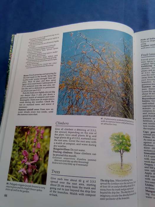 "South African Garden Month by Month"  Hard cover.