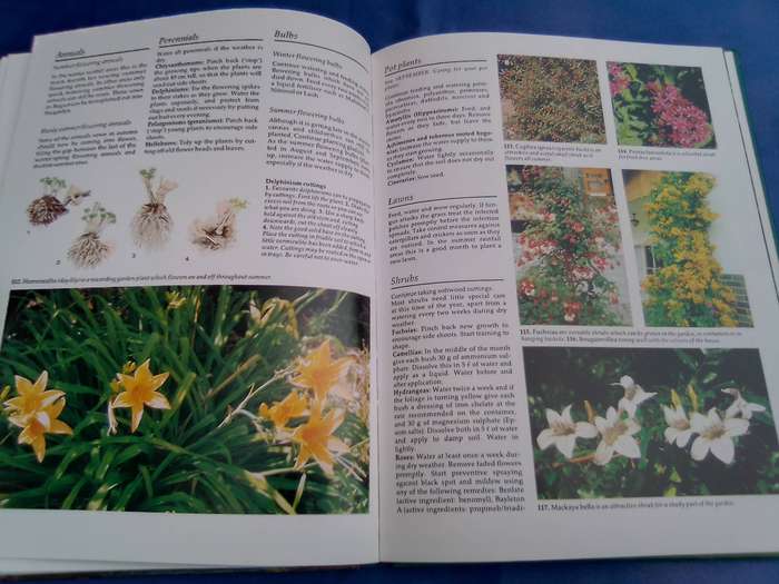 "South African Garden Month by Month"  Hard cover.