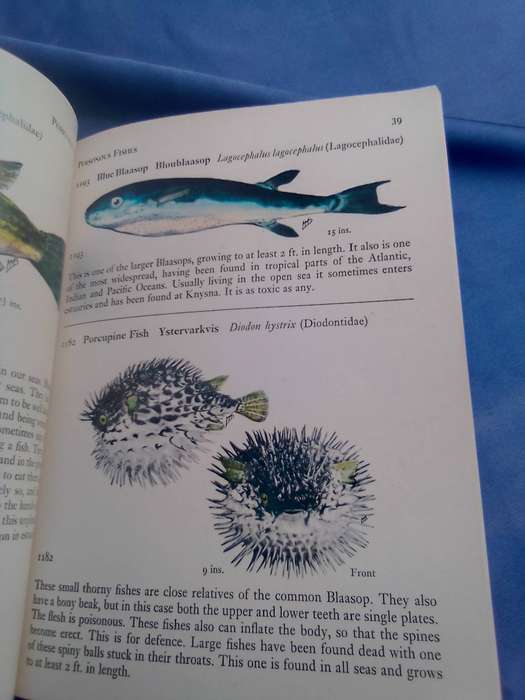 "Fishes of the Tsitsikama Coastal National Park"  Soft cover.