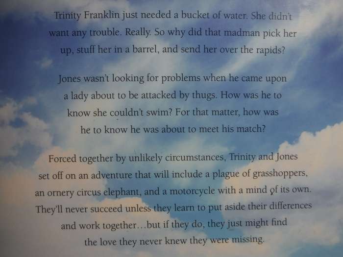 The Dakota Diaries : Under the Summer Sky - Paperback - Lori Copeland