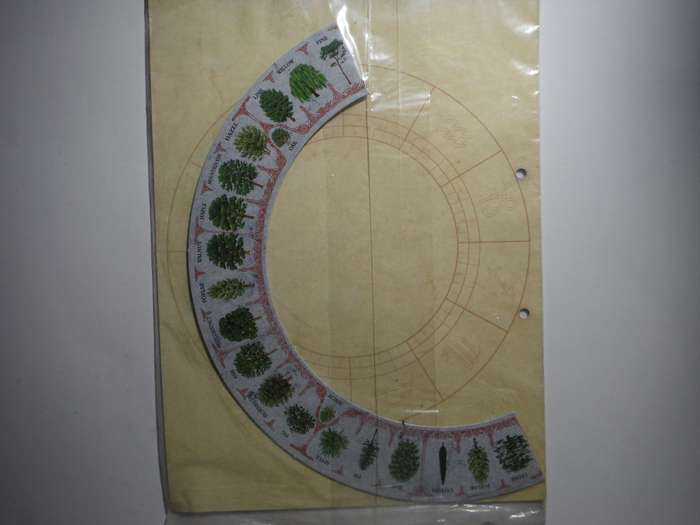 Learn & Understand Astrology : Issues 1-17 and Issues 31-34 with Binder