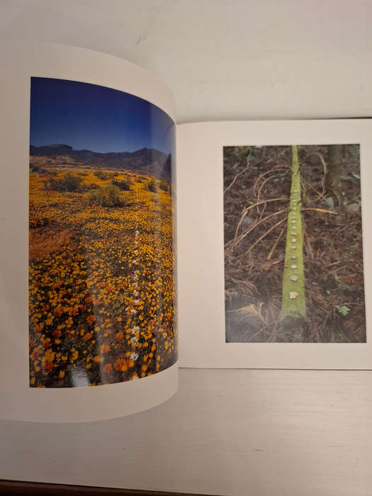 Sculpting the land: artistic interventions with the landscape Strijdom van der Merwe