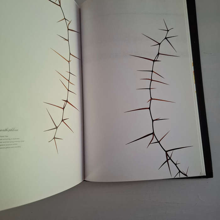 Subtraction  (Clinton Friedman)