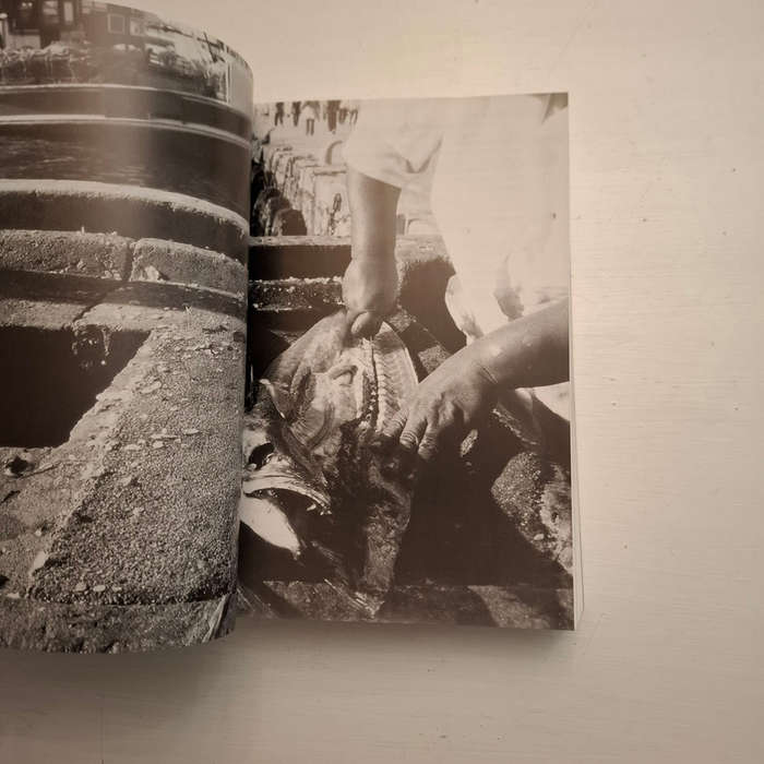 Leipoldt's Food and Wine (the trilogy of culinary works by Louis Leipoldt)