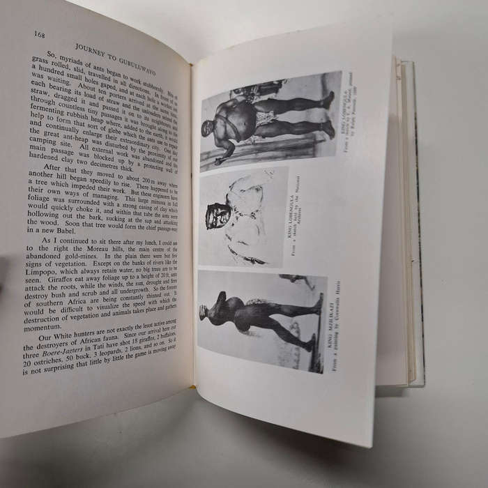 Journey to Gubuluwayo: Letters of Frs H. Depelchin and C. Croonenberghs, S.J. 1879, 1880, 1881 (Rhod