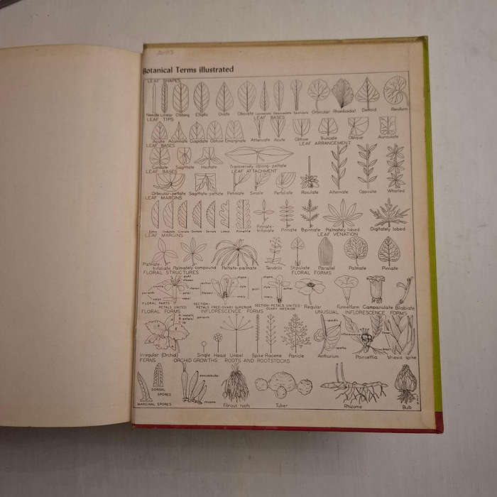 Exotica, Series 3: Pictorial Cyclopedia of Exotic Plants from Tropical and Near-tropic Regions