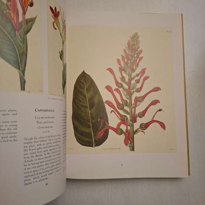 Art in Nature - Martyn Rix (Introduction)