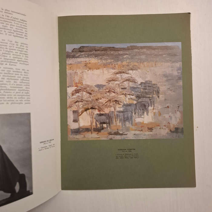 The South African National Gallery Le Musee National Sud-Africain Die Suid-Afrikaanse Nasionale-Kuns