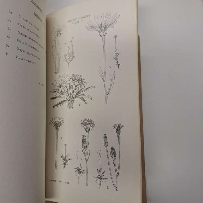 Flora of Melville Koppies Nature Reserve - 2 vols