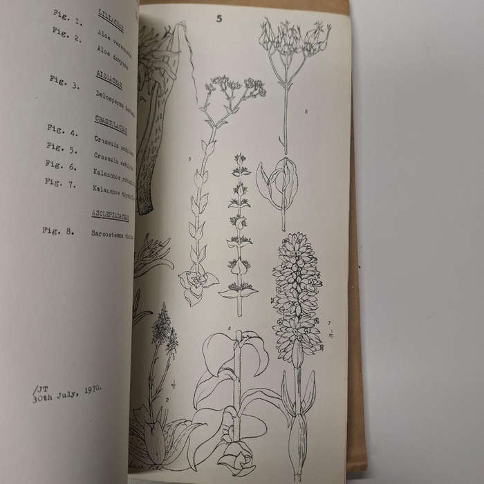 Flora of Melville Koppies Nature Reserve - 2 vols