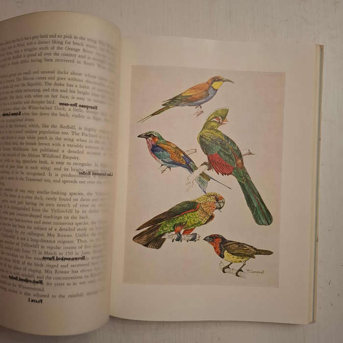 The Farmer's Birds (J.M. Winterbottom)