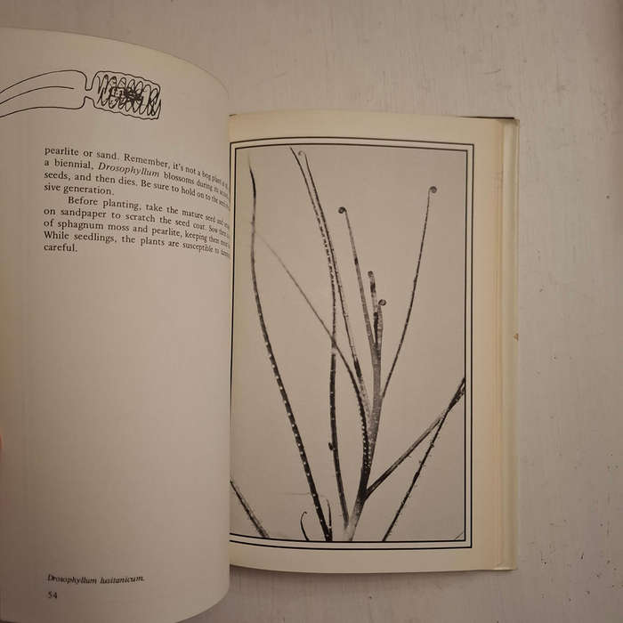 Carnivorous Plants (Randall Schwartz)