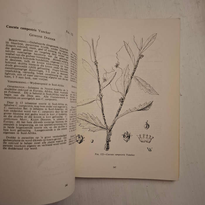 Algemene Onkruide in Suid-Afrika / Common Weeds in South Africa (Botaniese Opname, Memoir Nr. 37 / B