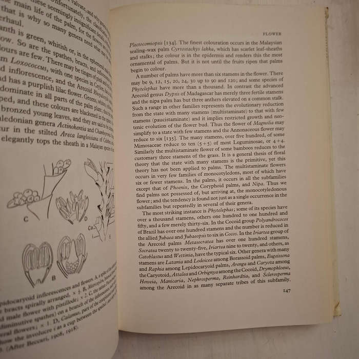 The Natural History of Palms (E J H Corner)