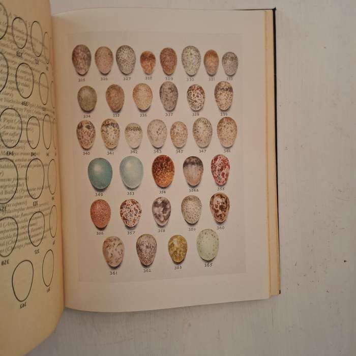 Eggs of Birds Breeding in Southern Africa (Twenty Coloured Plates depicting over four hundred and th