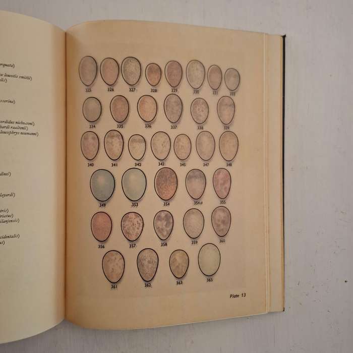 Eggs of Birds Breeding in Southern Africa (Twenty Coloured Plates depicting over four hundred and th