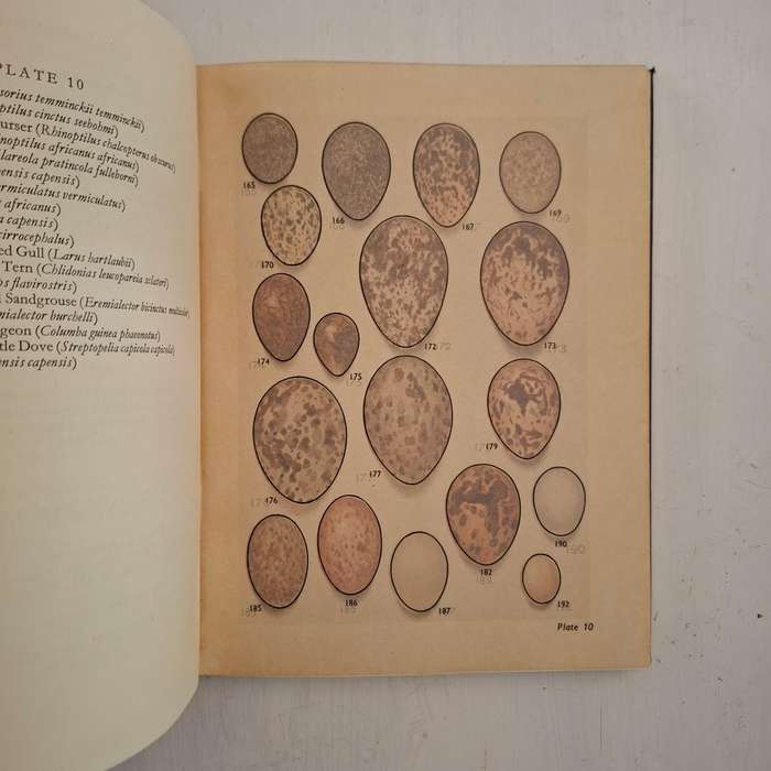Eggs of Birds Breeding in Southern Africa (Twenty Coloured Plates depicting over four hundred and th