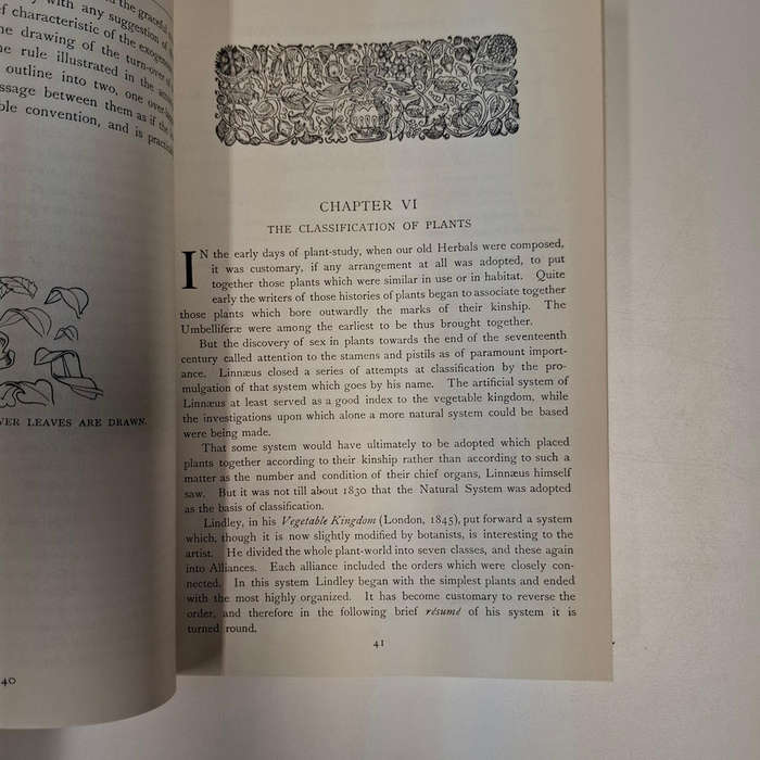 Handbook of Plant and Floral Ornament (R. G. Hatton)