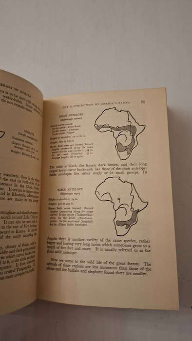 Man And Beast In Africa