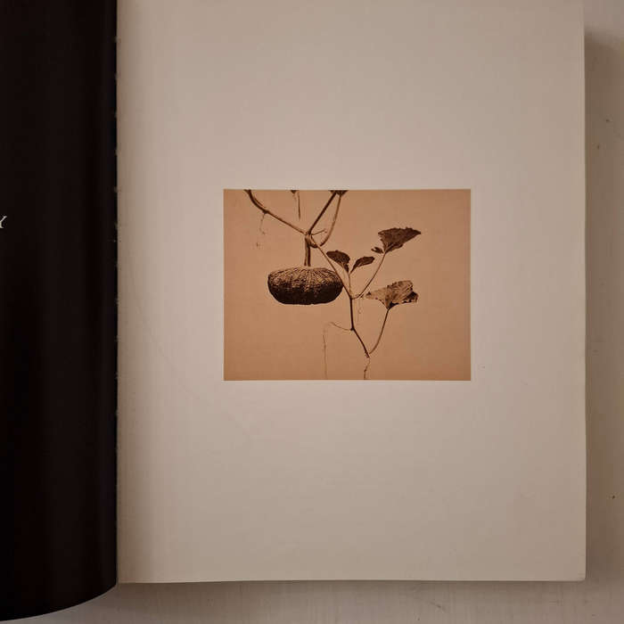 The History of Japanese Photography (Museum of Fine Arts, Houston)  Anne Wilkes Tucker