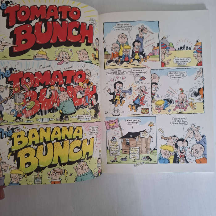 4 X  Annuals