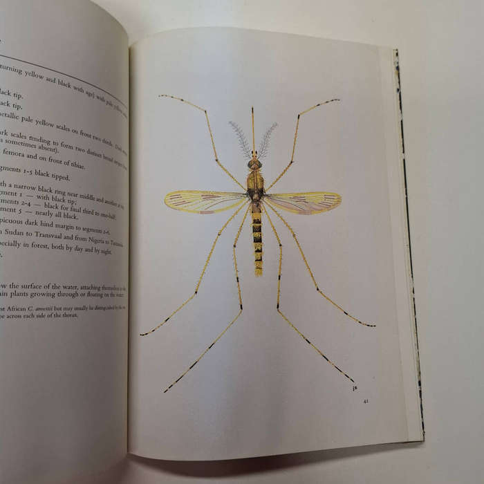 Common African Mosquitos and Their Medical Importance (J.D. Gillett)