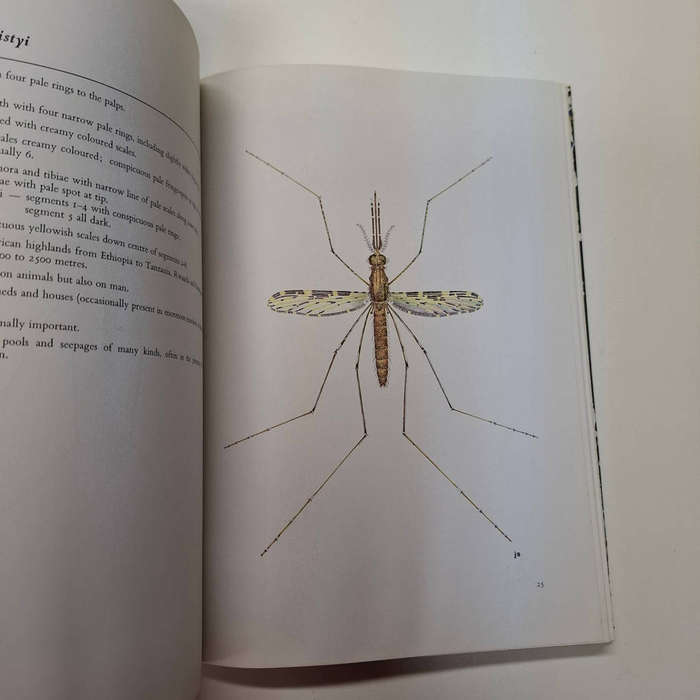 Common African Mosquitos and Their Medical Importance (J.D. Gillett)