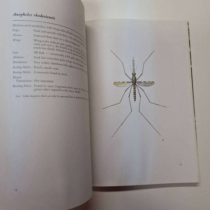 Common African Mosquitos and Their Medical Importance (J.D. Gillett)