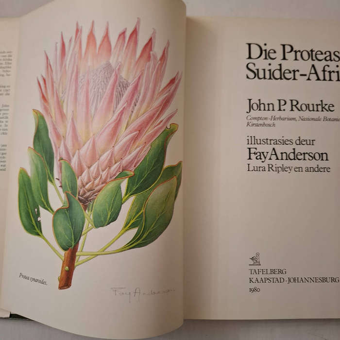 Die Proteas van Suider-Afrika (P.J. Rourke)