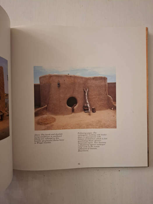 African Canvas: The Art of West African Women (Margaret Courtney-Clarke)