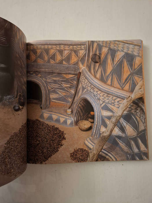 African Canvas: The Art of West African Women (Margaret Courtney-Clarke)
