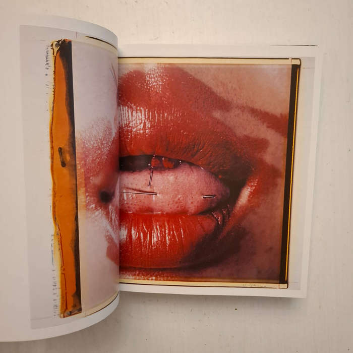 The Polaroid Book (Barbara Hitchcock)