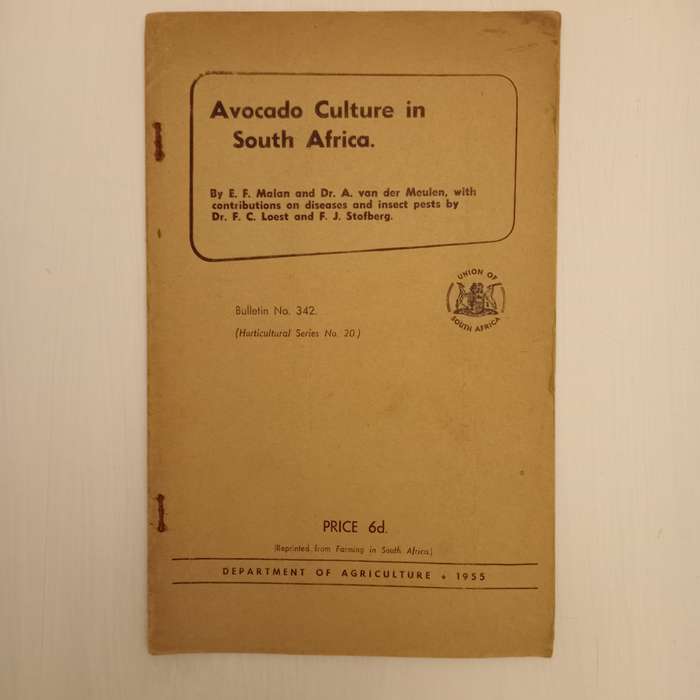 Avocado Culture in South Africa