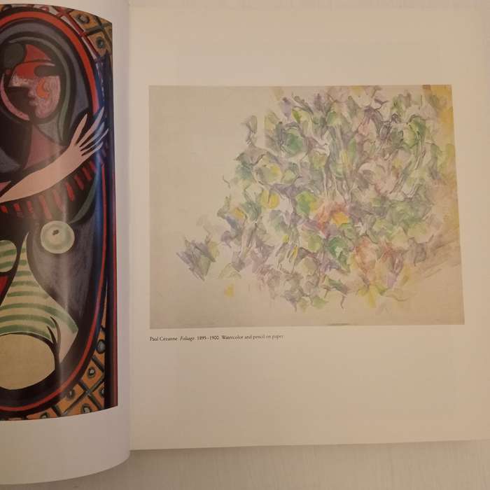 The Museum of Modern Art (New York)  Published by Harry N. Abrams, 1995