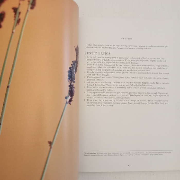 Forever Green: Plants in the Dream Time (Dave Pepler, Lien Botha, Laurian Brown)