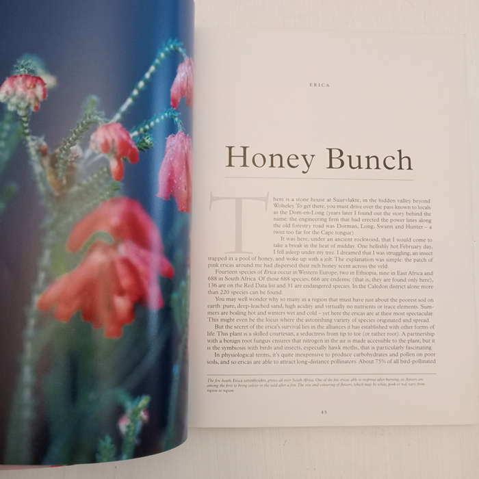 Forever Green: Plants in the Dream Time (Dave Pepler, Lien Botha, Laurian Brown)