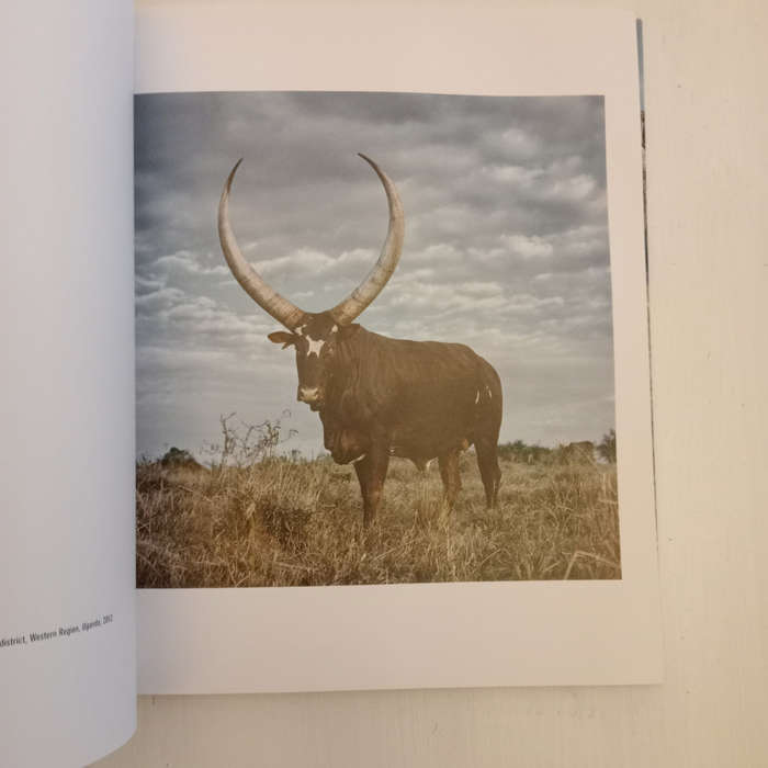 Sightings of the Sacred (Daniel Naude)