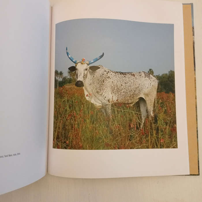 Sightings of the Sacred (Daniel Naude)
