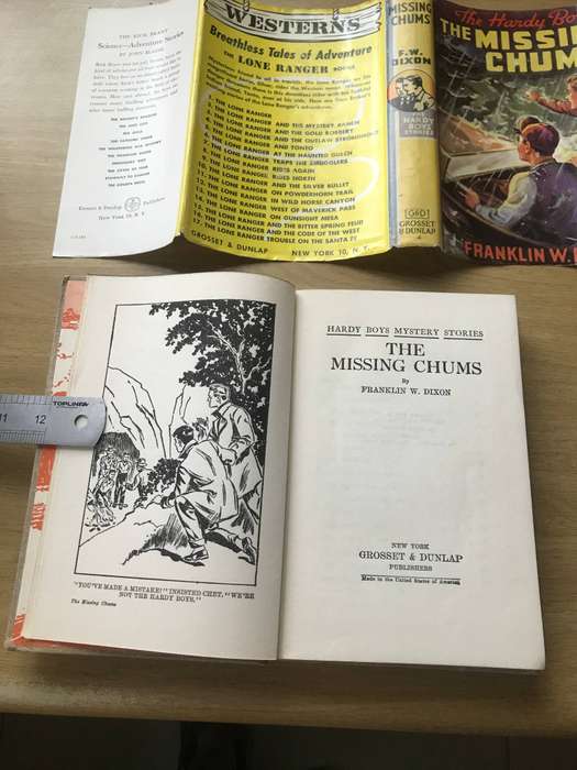 The Hardy Boys. The Missing Chums