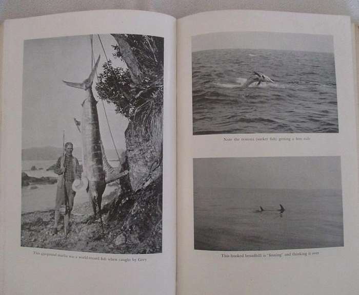 Famous Western writer Zane Grey was an avid fisherman - Zane Grey's Adventures in Fishing