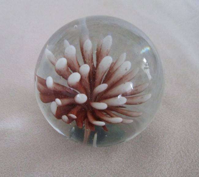 Beautiful glass paperweight with coral image