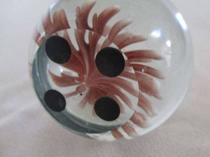 Beautiful glass paperweight with coral image