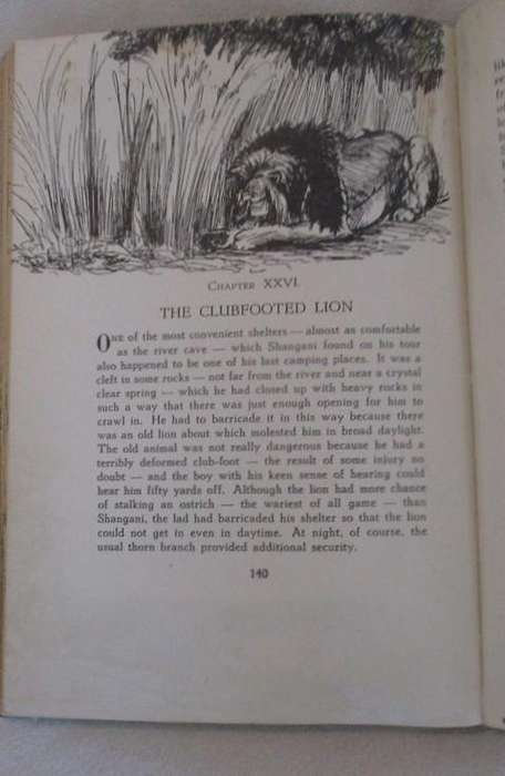 Rare collectable - Shangani by Oswald Pirow (English version)